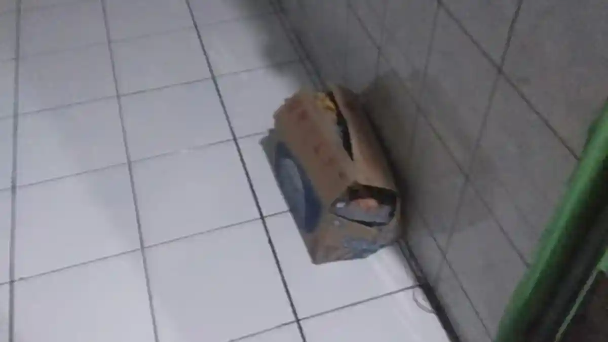 Ilustrasi penemuan bayi di depan rumah warga Ciamis