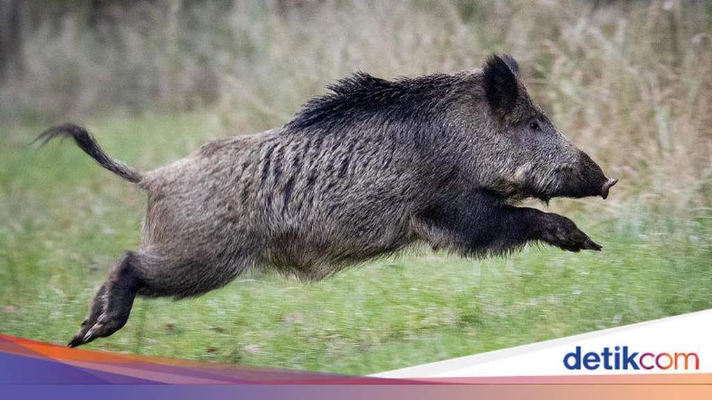 Ilustrasi suasana rangkuman berita dan peristiwa penting di wilayah Jawa Barat hari ini