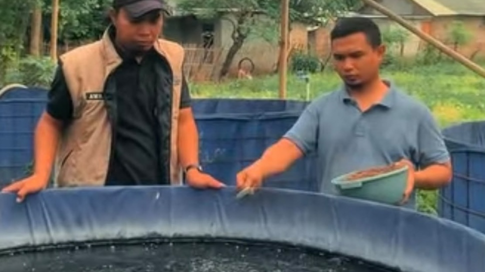 Kelompok Ternak APTUR kembangkan usaha perikanan dan peternakan terpadu berkat pembinaan CSR PIK2