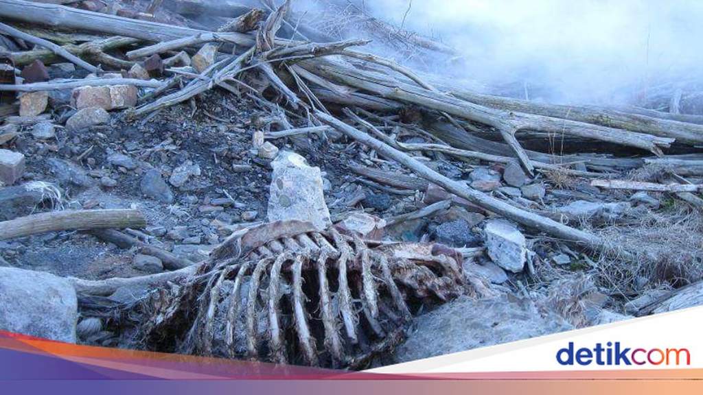 Kondisi jalanan rusak dan sepi di kota mati Centralia Pennsylvania akibat kebakaran bawah tanah