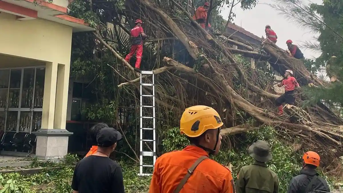 Kondisi kerusakan akibat cuaca ekstrem dan pohon tumbang di Kabupaten Sukabumi