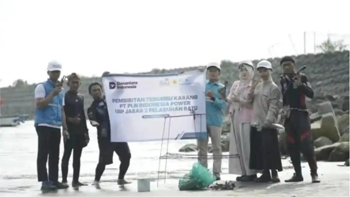 Pembibitan terumbu karang oleh PLN IP UBP JPR di Sukabumi