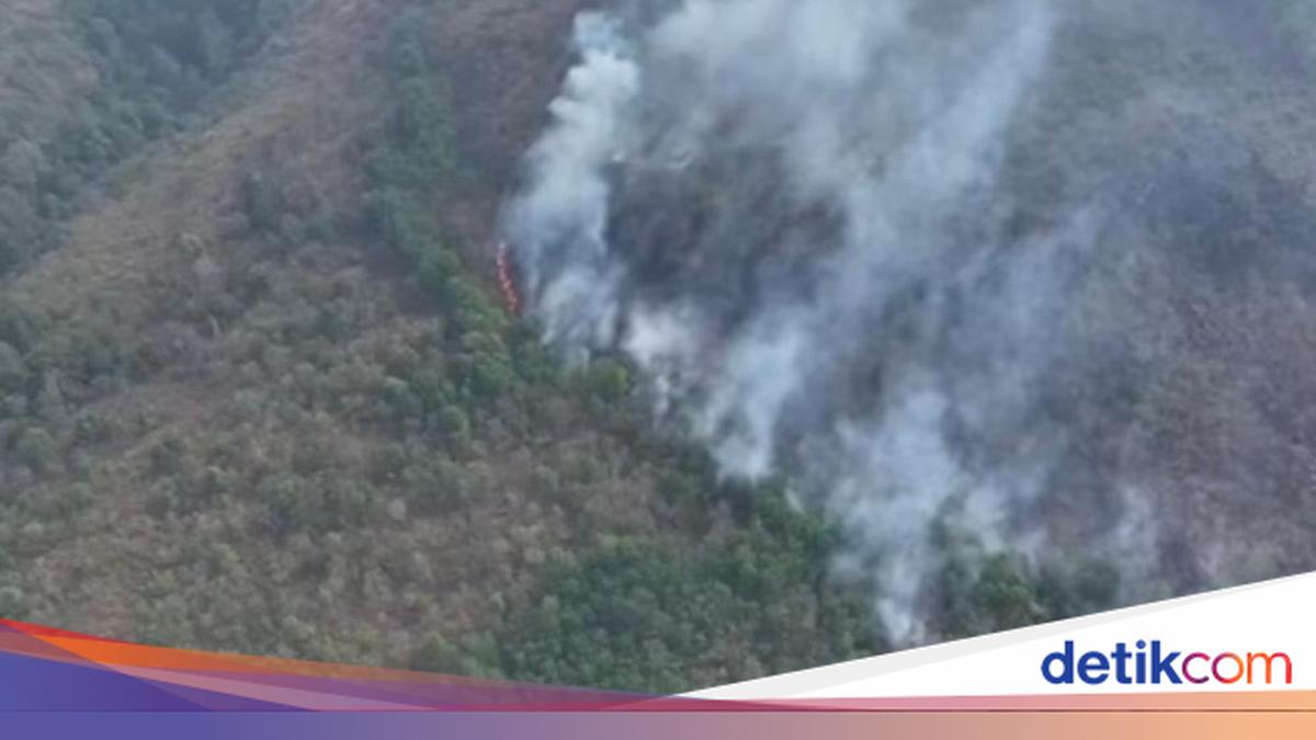 Petugas berjibaku memadamkan kebakaran hutan dan lahan dalam penanganan karhutla 2026
