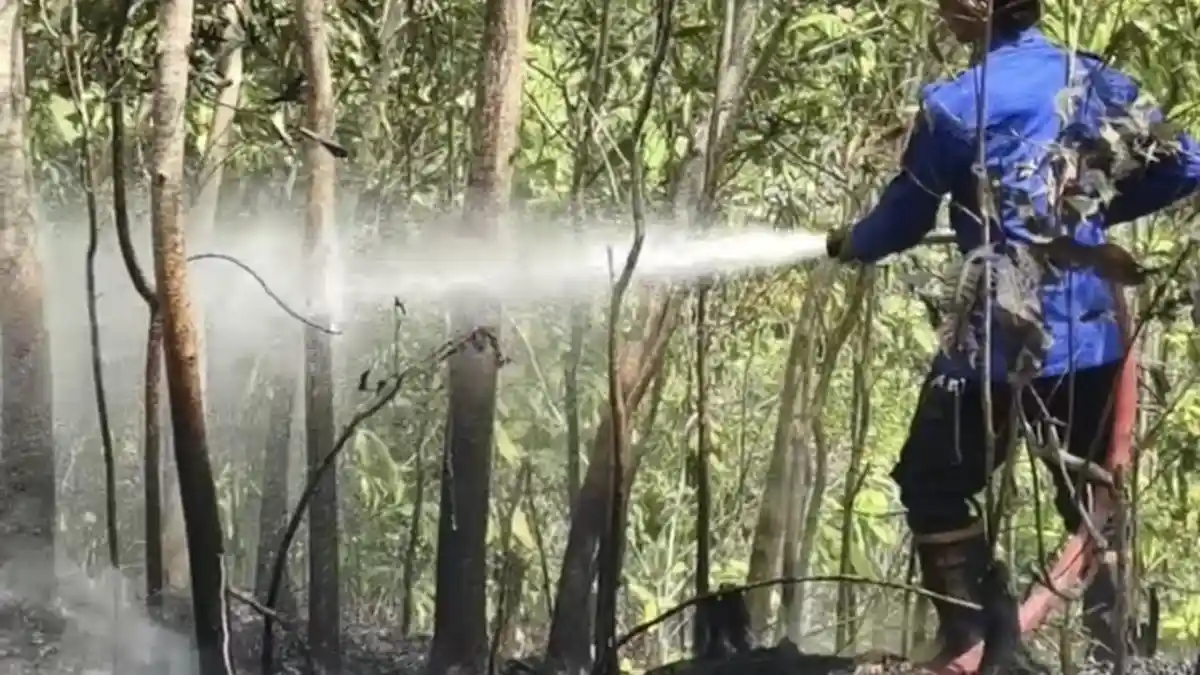 Petugas Damkar dan kepolisian memadamkan kebakaran lahan di Kalipucang Pangandaran