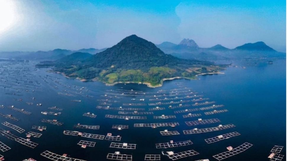 Proyek pembangunan AI Data Center BDX di Jatiluhur dihentikan sementara oleh Gubernur Jabar Dedi Mulyadi